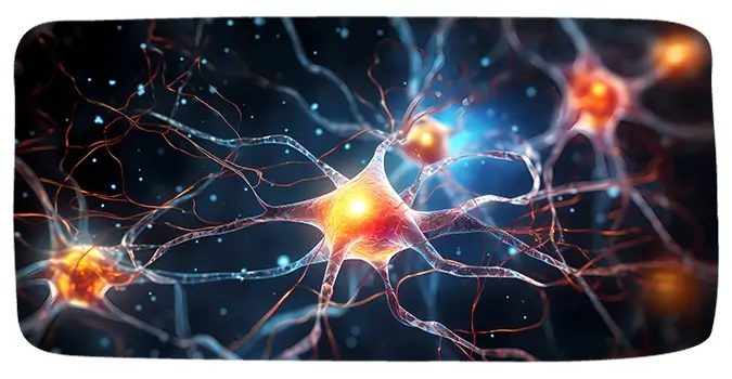 What's Multiple Sclerosis (MS)