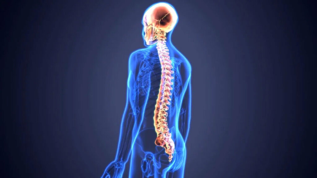 John Hopkins Medicine Shares Best Ways for Managing MS Symptoms